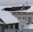 img - ЛДПР