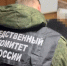 Житель Марий Эл задержан по обвинению в убийстве знакомого - Газета Ваш Новый День