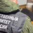 Заключили под стражу убийцу, чью жертву нашли на производстве древесного угля в Оршанском районе - Pg12.Ru