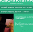 В Академии «Меганом» открылся набор на программу «#СВОяКУЛЬТУРА» в 2026 году - Управление культуры