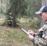 Проанализированы результаты регулярных наземных наблюдений за санитарным и лесопатологическим состоянием лесов - Рослесозащита Республики Марий Эл