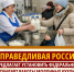 Молочный вопрос - Справедливая Россия