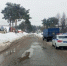 В Волжске в результате ДТП с «Газелью» пострадало два человека - Марийская правда