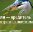 Цапля — вредитель или страж экосистемы? - ПГТУ