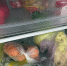Какие продукты в холодильнике нельзя хранить в пакетах: запомните раз и навсегда - Pg12.Ru