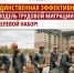Эффективная модель трудовой миграции – целевой набор! - Справедливая Россия