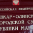 Жительница Марий Эл заплатит штраф за контрабанду леса на 670 тысяч рублей - Газета Ваш Новый День
