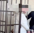 Удары в грудь, живот и предплечье: женщина из Волжска расправилась с сожителем - Pg12.Ru