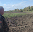 Будет ли урожай: погубил ли паводок поля фермеров Марий Эл - Pg12.Ru