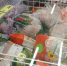 Курица выходит из моды: почему россияне массово отказываются от самого популярного мяса - Pg12.Ru