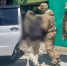 Полицейские из Марий Эл задержали жителя Сочи за распространение порнографии - ИА МедиаПоток