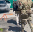Полицейские Марий Эл задержали жителя Сочи за изготовление порнографии - Газета Ваш Новый День